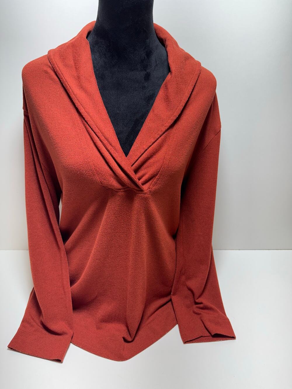 Parker & Quinn Women’s Sweater Rust Color Sz L V Neck Office Capsule Wardrobe